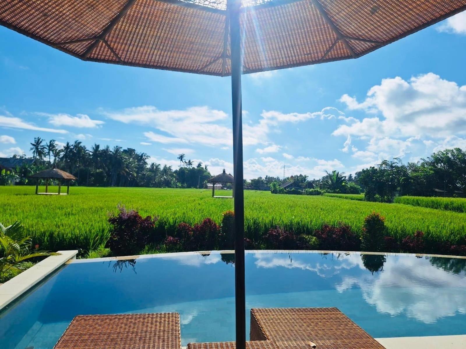 Rumah Kita Ecolodge Ουμπούντ Εξωτερικό φωτογραφία