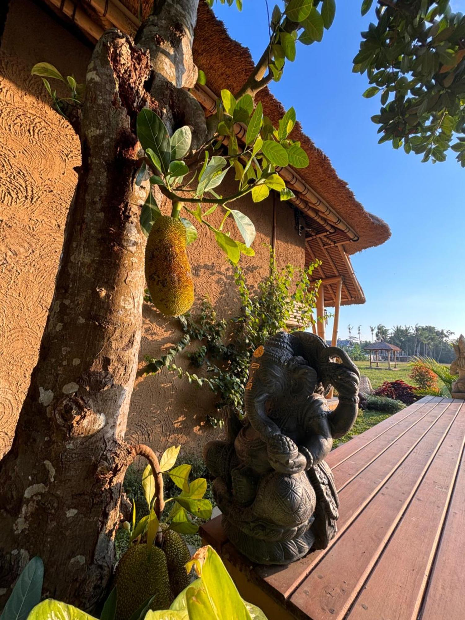 Rumah Kita Ecolodge Ουμπούντ Εξωτερικό φωτογραφία