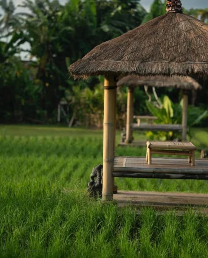 Rumah Kita Ecolodge Ουμπούντ Εξωτερικό φωτογραφία